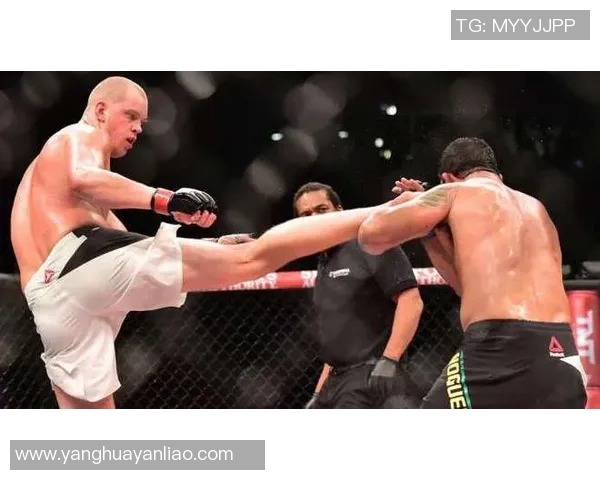 多斯桑托斯与凯恩的巅峰对决谁能笑到最后揭秘精彩战局与历史交锋